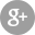 Google Plus Logo Button 32